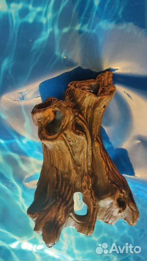 Убежище - грот EXO terra