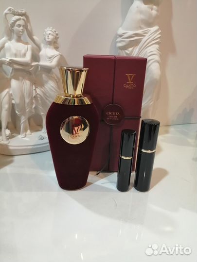 Делюсь V canto cicuta