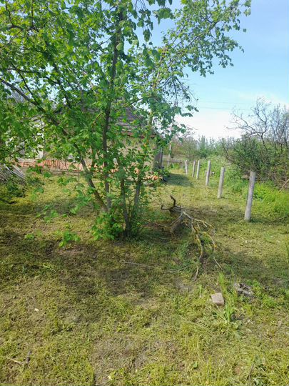 Дом 30 м² на участке 43 сот.