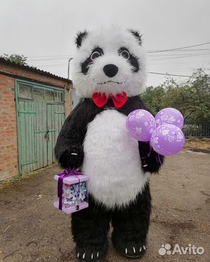 Аниматоры/Поздравления/Ростовые куклы