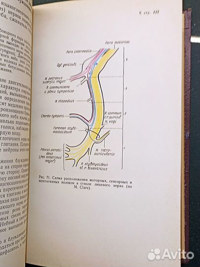 Руководство к практическим занятиям по невропатоло