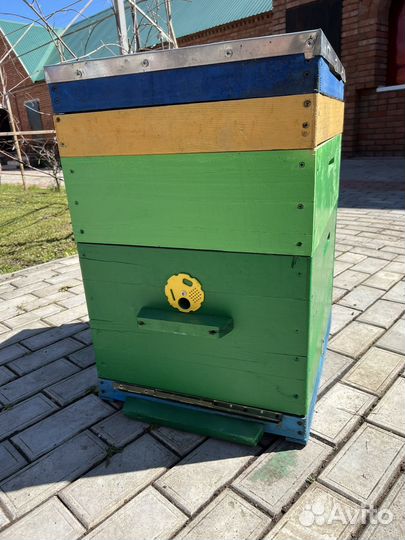 Улей на 10 рамок