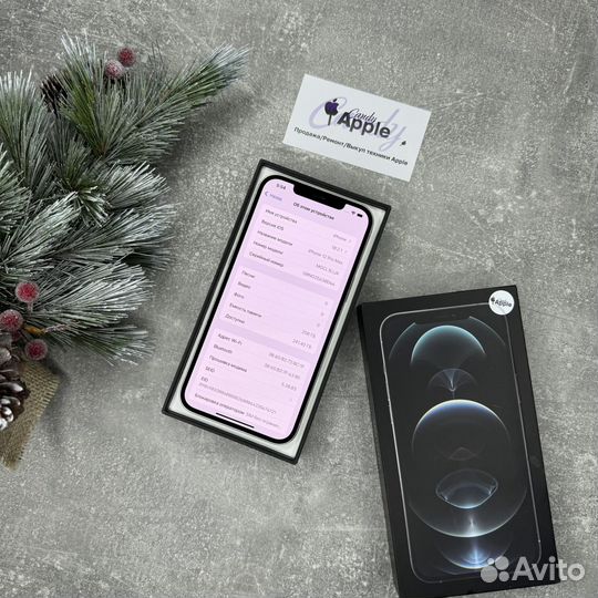 iPhone 12 Pro Max, 256 ГБ