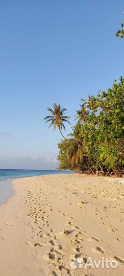 Путёвка на Мальдивы