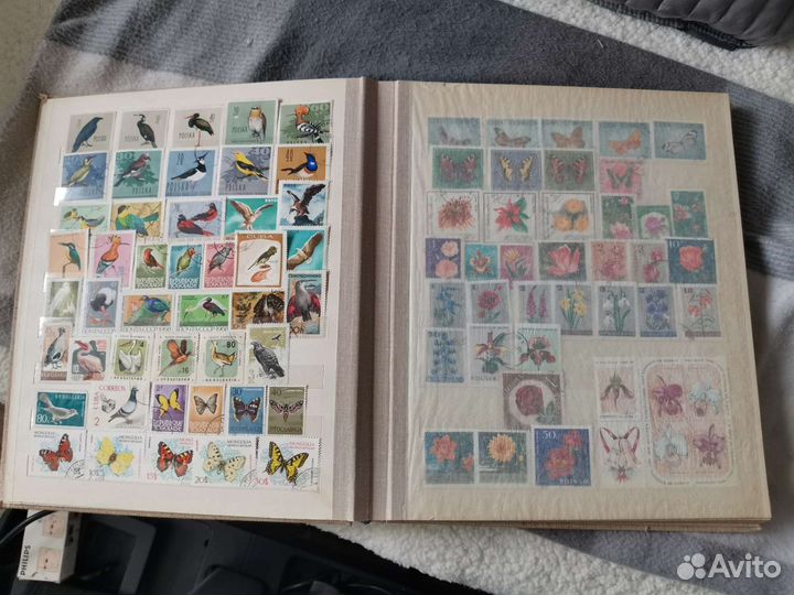 Почтовые марки. Коллекционный альбом