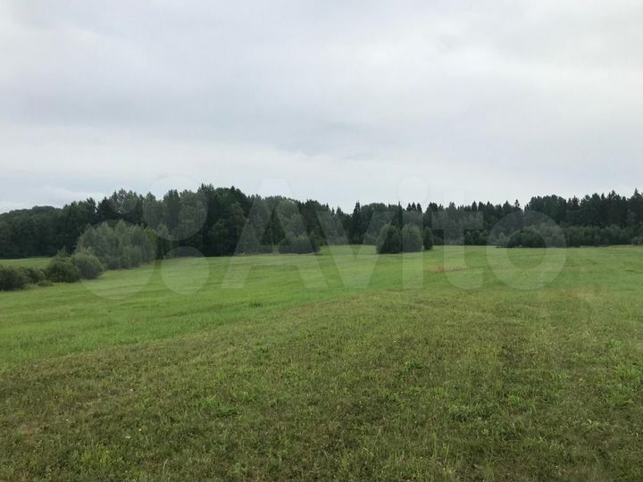 Участок 2,42 га (СНТ, ДНП)