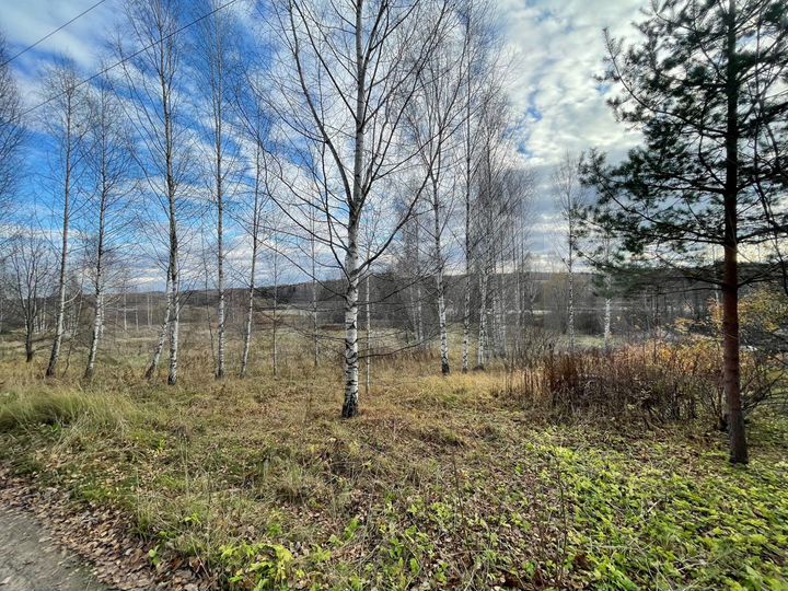 Участок 15 сот. (ИЖС)