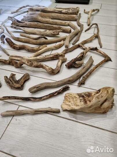 Коряги дрифтвуд (большой набор)