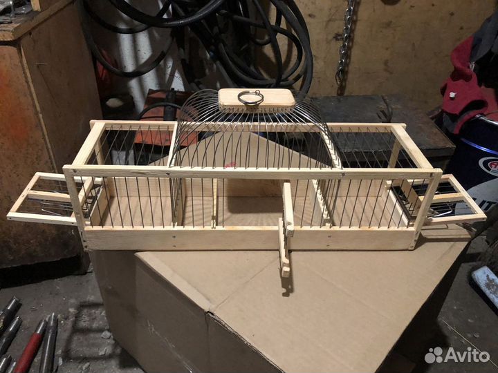 Западок ловушка