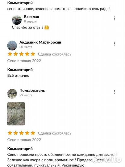 Сено в тюках 2023