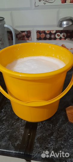 Нубийская козочка