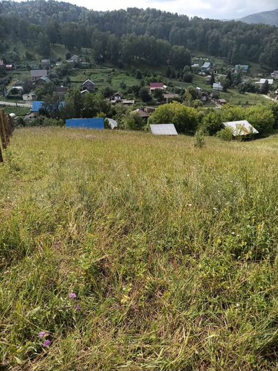 Участок 10 сот. (СНТ, ДНП)