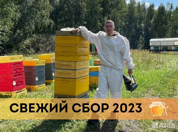 Мед настоящий свежий. Урожай 2023