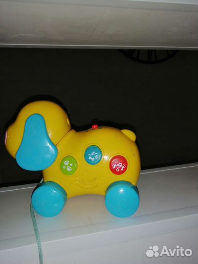 Собака каталка