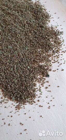 Крапива семена