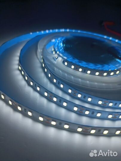 Светодиодная лента, белая холодная оптом