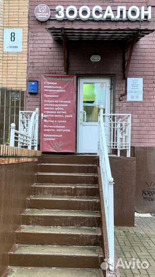 Професиональный груминг в зоосалоне