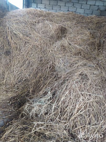 Продам сено