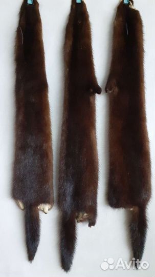 Мех норки стк