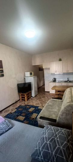 1-к. квартира, 26,1 м², 19/19 эт.