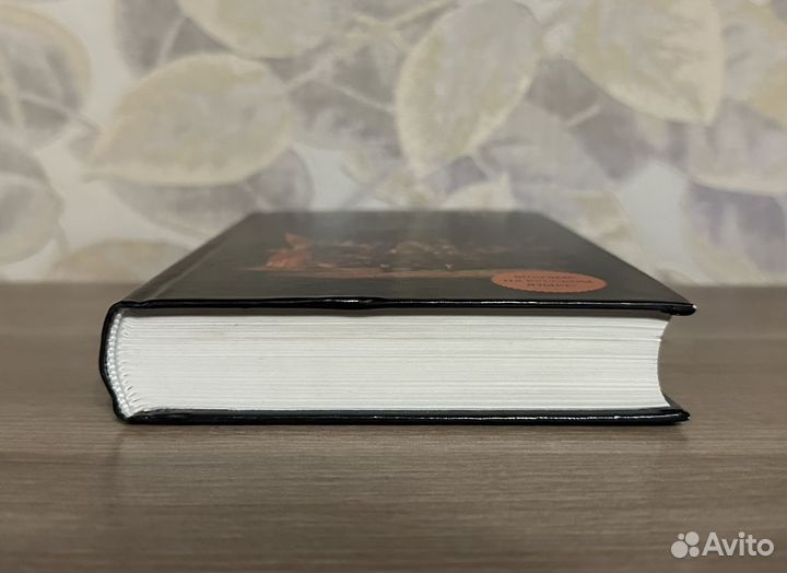 Терри Пратчетт. Ночная стража