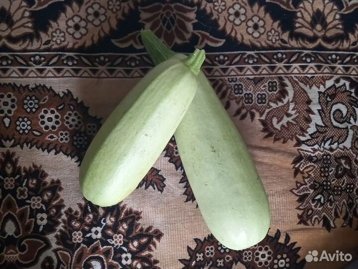 Кабачки домашние