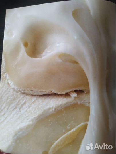 Лучшие сыры мира Джульет Харбатт