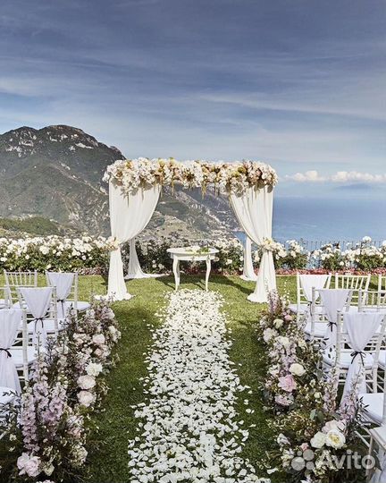 Организация свадеб и различного рода мероприятий