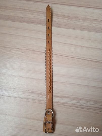 Одежда, шлейка, ошейник для маленьких собак