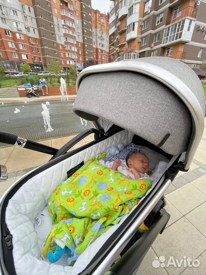 Коляска 2в1 Carello Optima