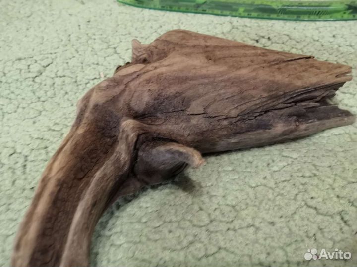 Коряга проваренная 33см