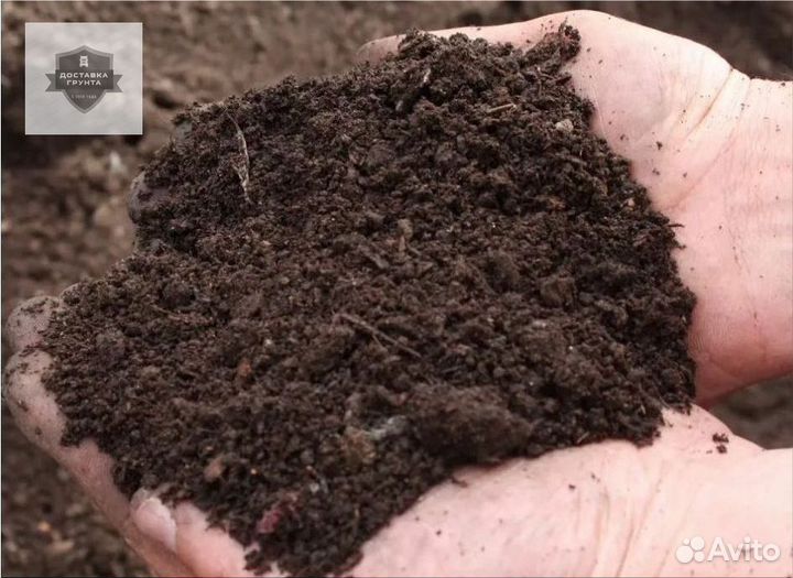 Купить чернозем