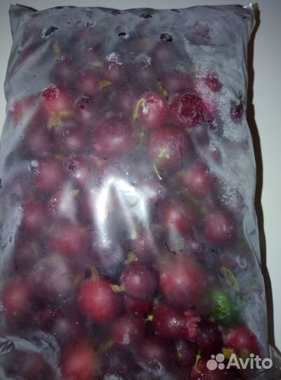 Саженцы крыжовника, лесной смородины, малины