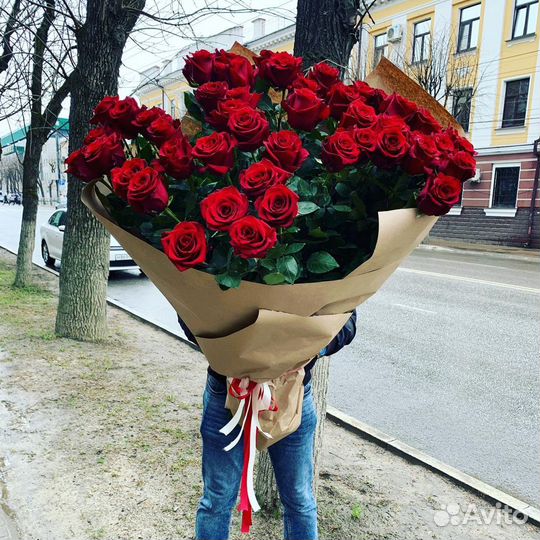 Розы метровые Эквадор