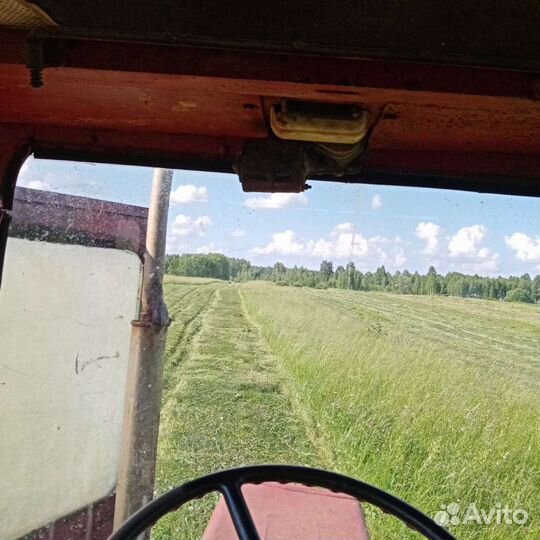 Сено в тюках