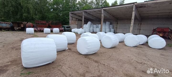 Сенаж, Сено 2023 года