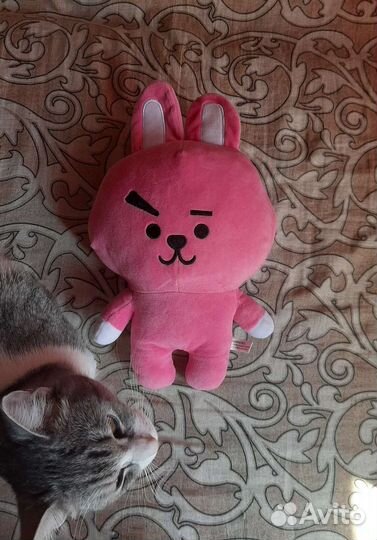 Cooky BT21 BTS