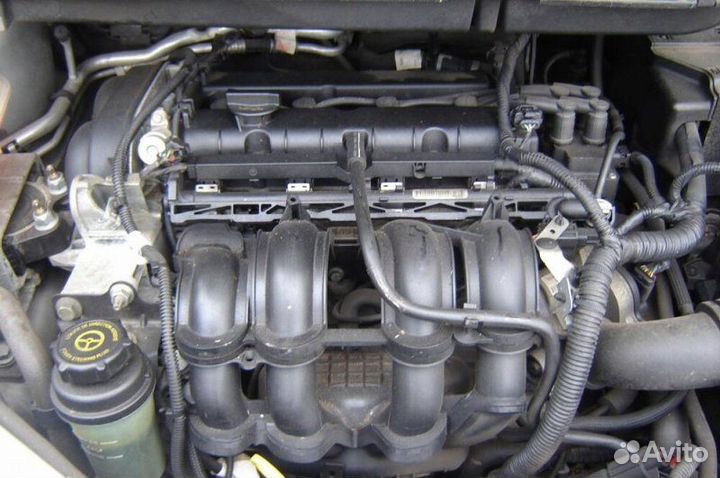 Двигатель Ford Focus 2 shda
