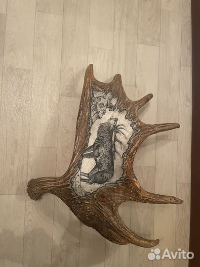 Рога оленя с гравировкой