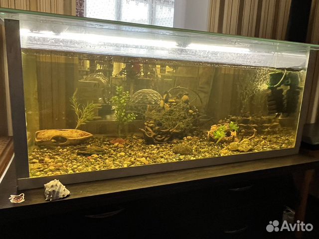 Аквариум с рыбками