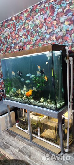 Аквариум