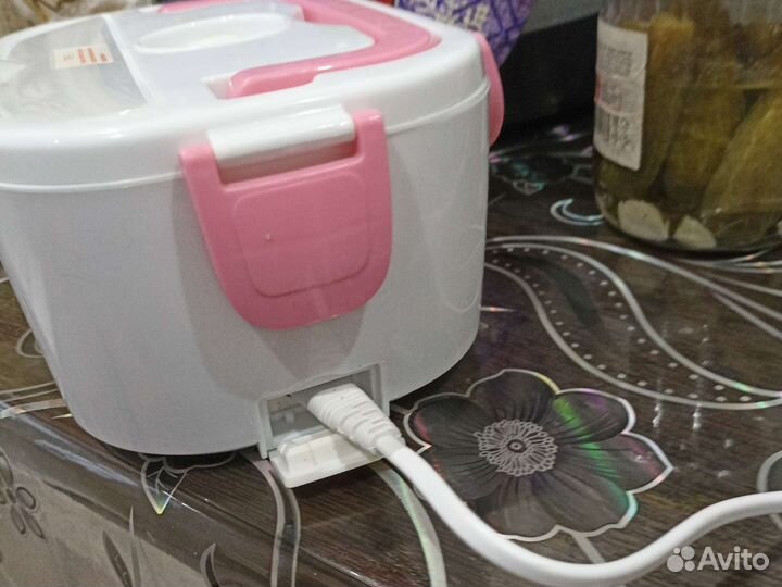 Electronic lunchbox