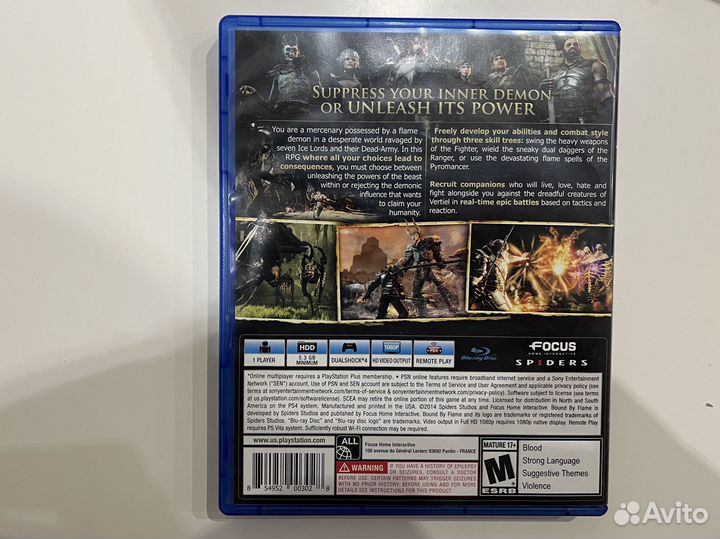 Игра Bound By Flame для PlayStation 4