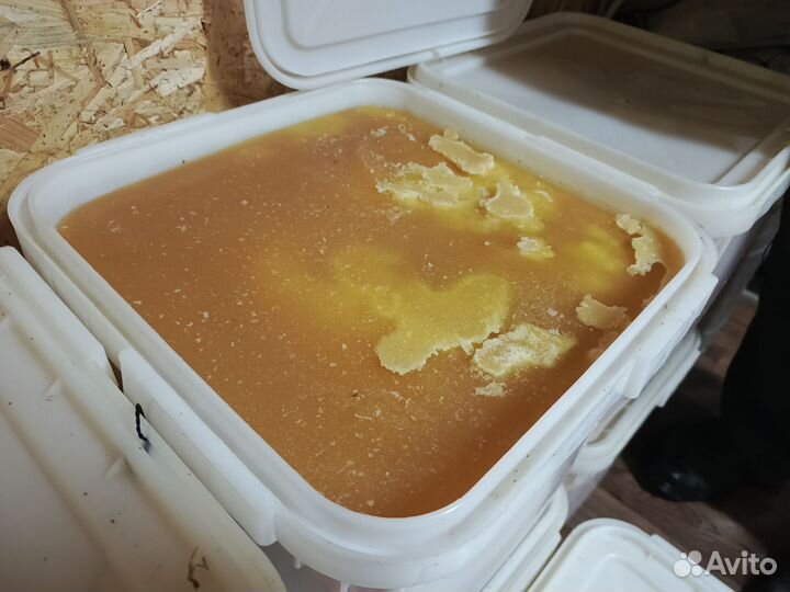 Мед разнотравье, рапс