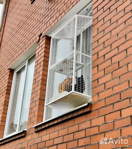 Балкон для кошек на окно фото Балкон для кошек купить в Москве Животные и зоотовары Авито
