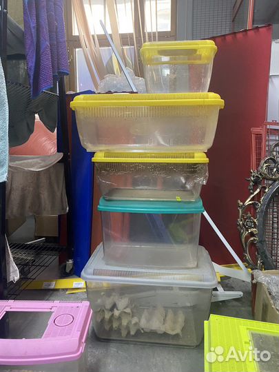 Пластиковый контейнер для животных