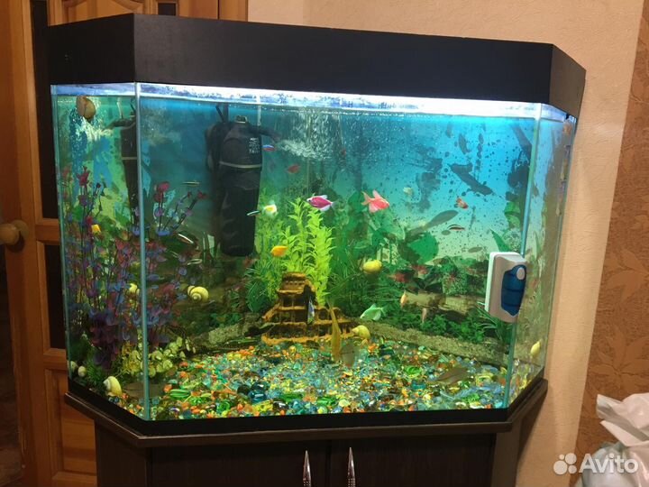 Продается аквариум