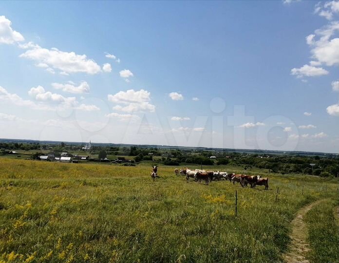 Участок 7 га (ИЖС)