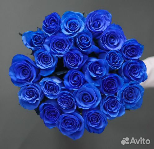 Синие розы 25.51.101