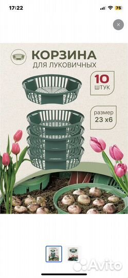 Корзина для луковичных цветов